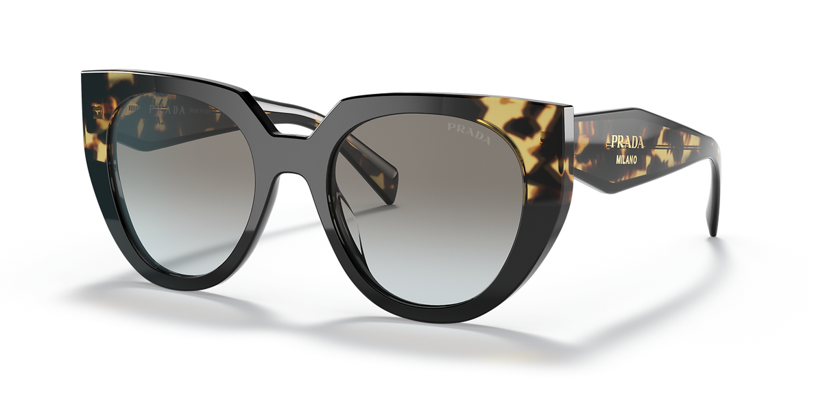 Black/Tortoise