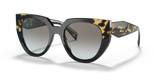 Black/Tortoise