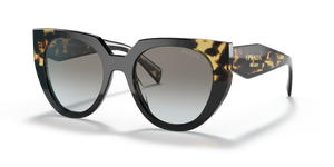 Black/Tortoise  - Grey Gradient