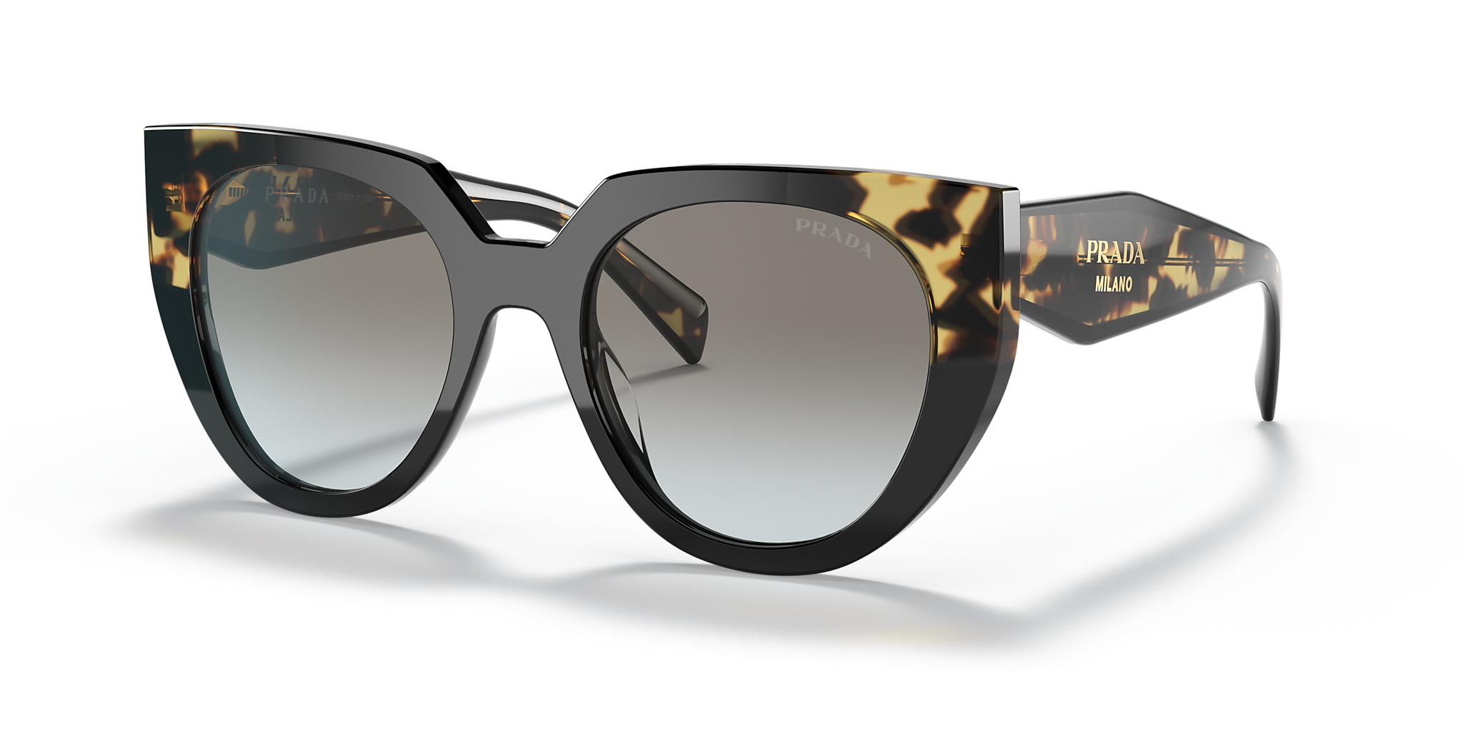 Black/Tortoise
