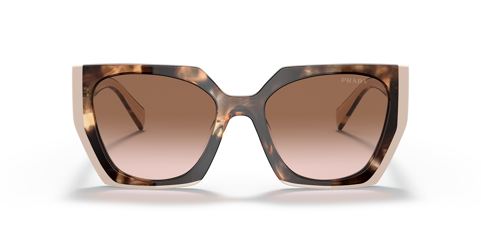 Tortoise Caramel/Powder