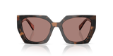Mauve Tortoise