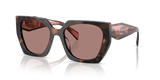 Mauve Tortoise