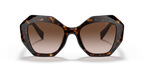 Tortoise