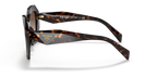 Tortoise