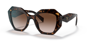 Tortoise  - Brown Gradient