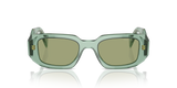 Transparent Sage