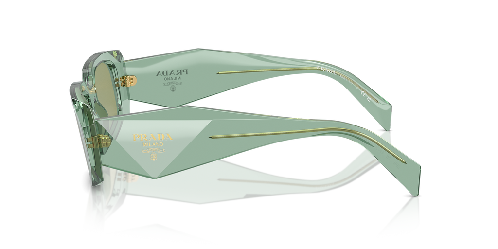 Transparent Sage