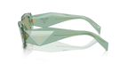 Transparent Sage