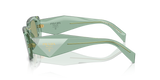 Transparent Sage