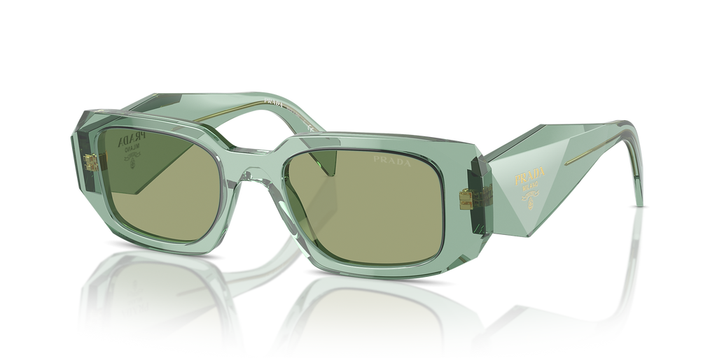Transparent Sage