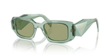 Transparent Sage