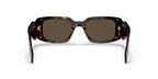 Tortoise