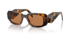 Honey Tortoise
