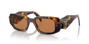 Honey Tortoise  - Dark Brown