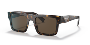 Tortoise  - Dark Brown