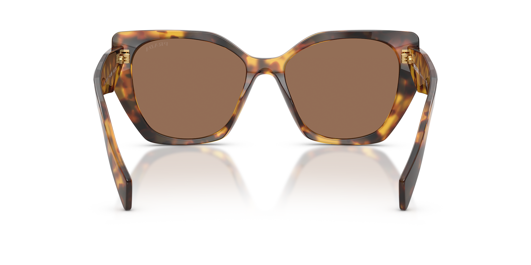 Honey Tortoise