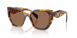 Honey Tortoise  - Dark Brown