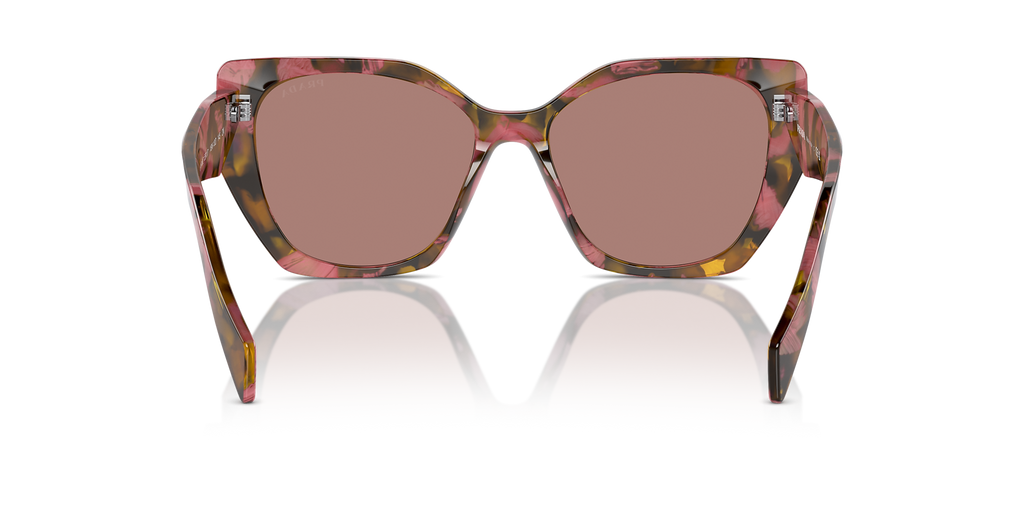 Tortoise Cognac Begonia