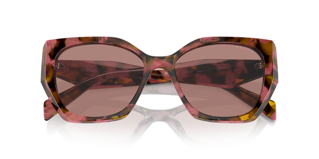 Tortoise Cognac Begonia