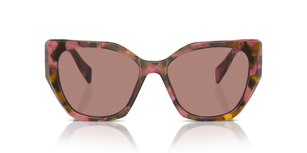 Tortoise Cognac Begonia