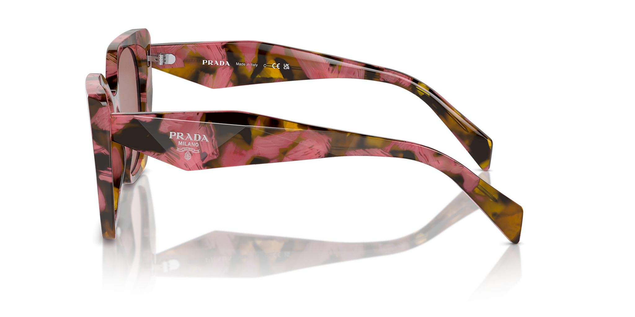 Tortoise Cognac Begonia