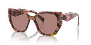 Tortoise Cognac Begonia  - Light Brown