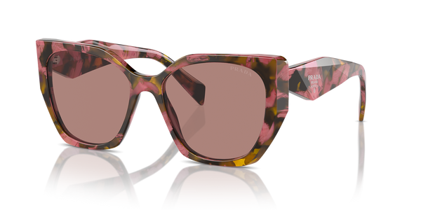 Tortoise Cognac Begonia