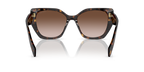 Tortoise