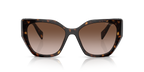 Tortoise