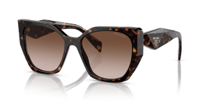 Tortoise  - Brown Gradient