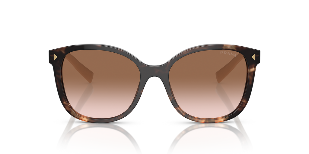 Caramel Tortoise