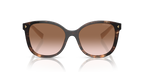 Caramel Tortoise