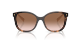 Caramel Tortoise