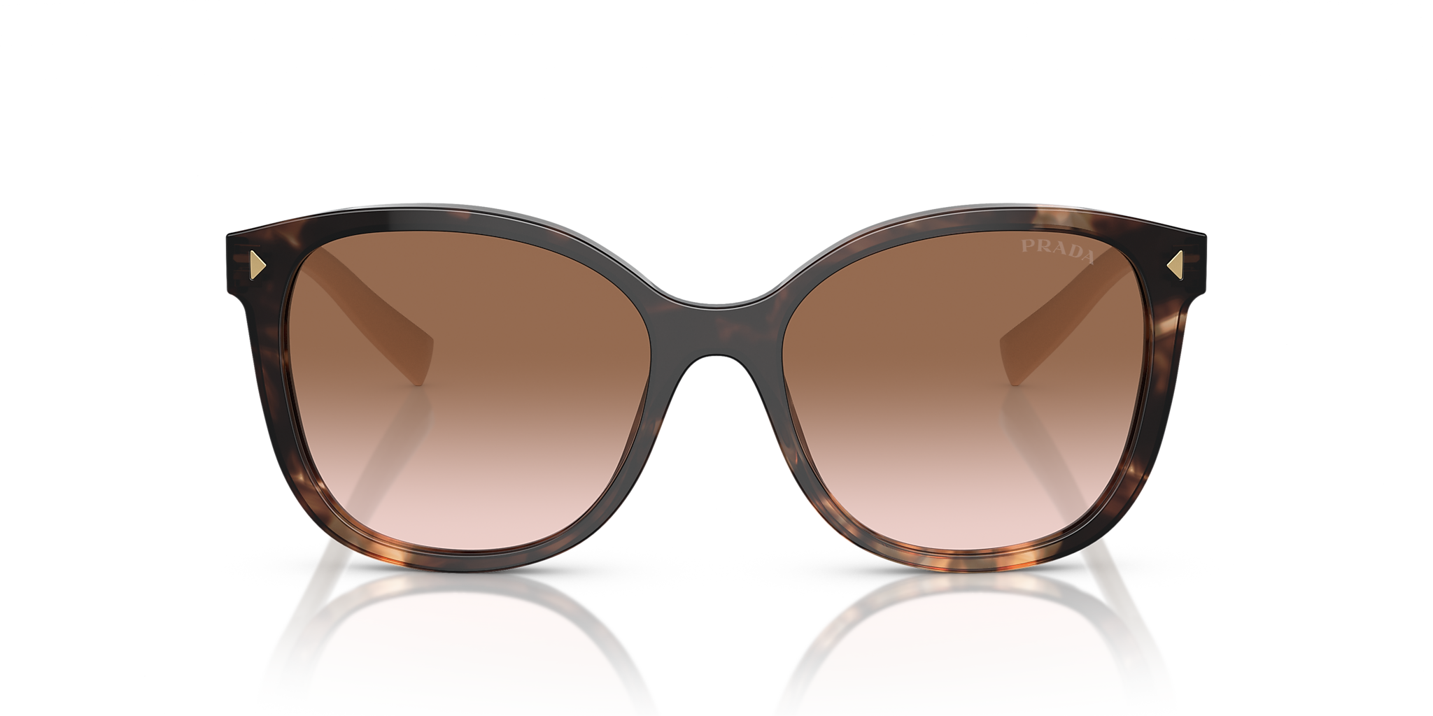 Caramel Tortoise