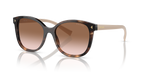 Caramel Tortoise