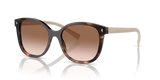Caramel Tortoise