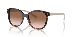 Caramel Tortoise  - Brown Gradient