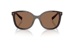 Tartaruga Radica