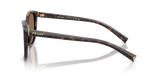Tartaruga Radica