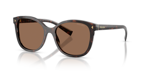 Tartaruga Radica  - Dark Brown