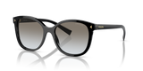Black  - Grey Gradient