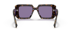 Tortoise