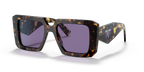 Tortoise
