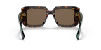 Tortoise