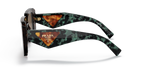 Tortoise