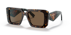 Tortoise