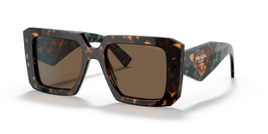 Tortoise  - Dark Brown