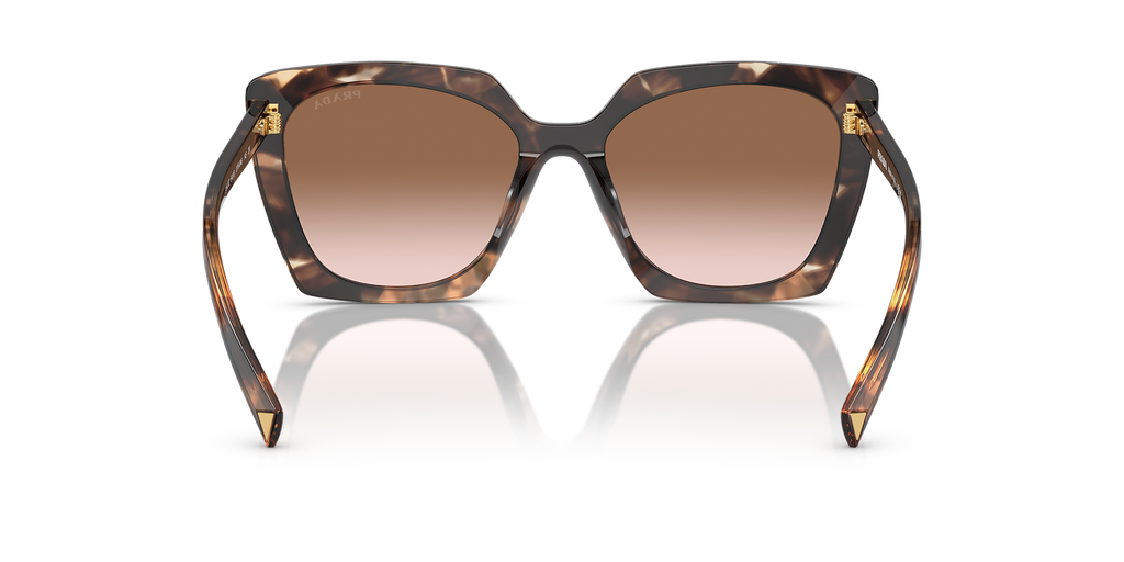 Caramel Tortoise
