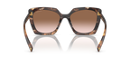 Caramel Tortoise